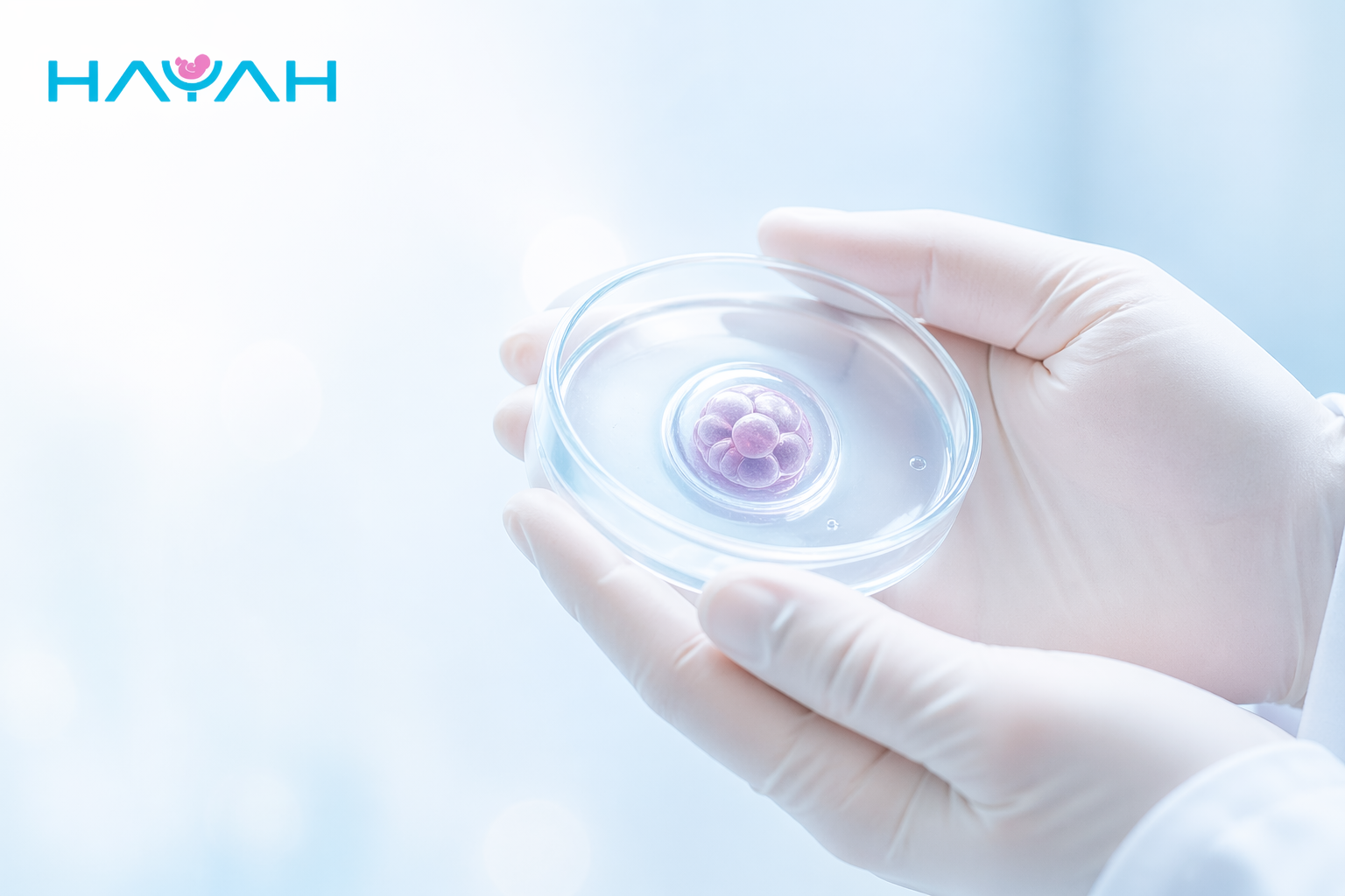 When Is IVF the Right Choice? A Complete Guide